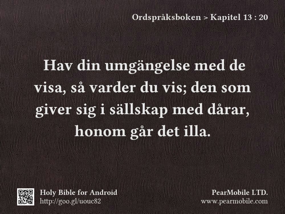 Ordspråksboken, Kapitel 13:20
